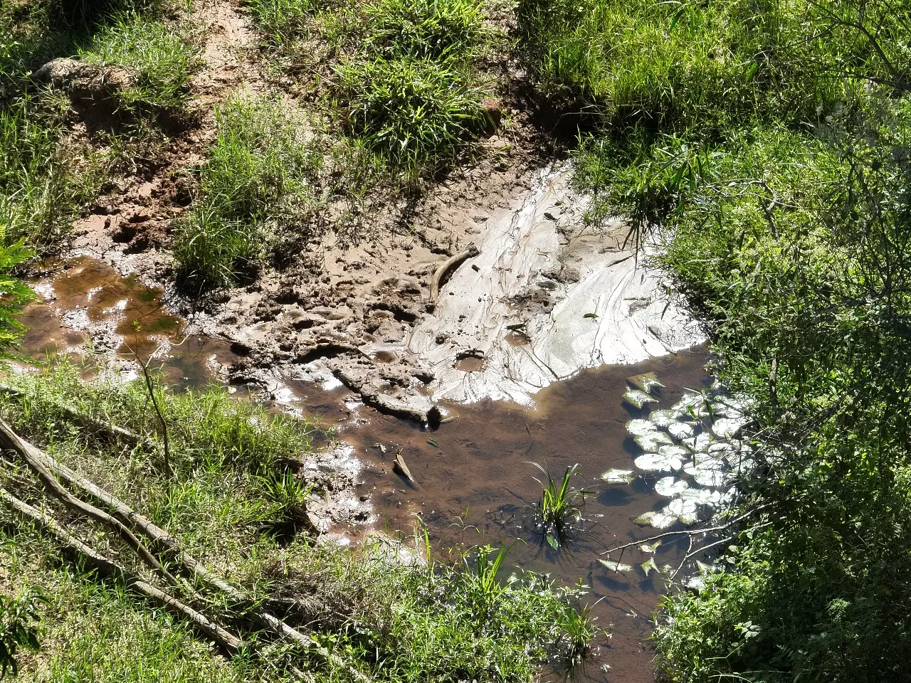 Fiscalização flagra danos ambientais em área rural de Maria Helena.